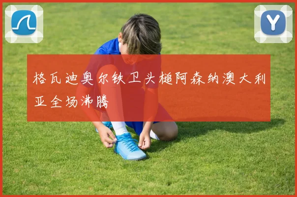 格瓦迪奥尔铁卫头槌阿森纳澳大利亚全场沸腾