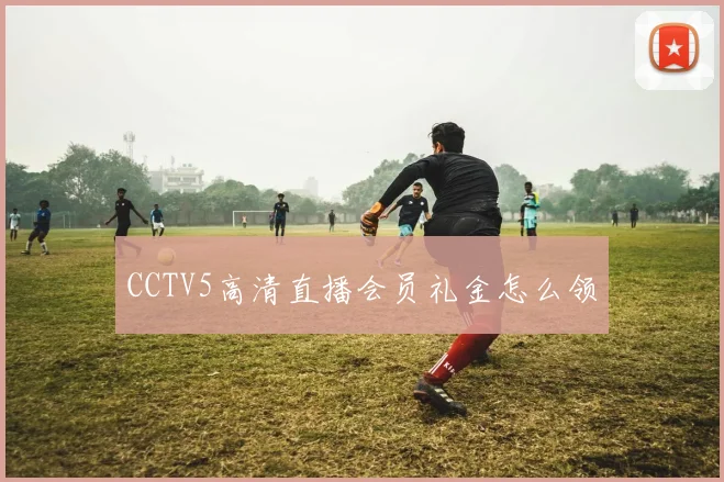 CCTV5高清直播会员礼金怎么领