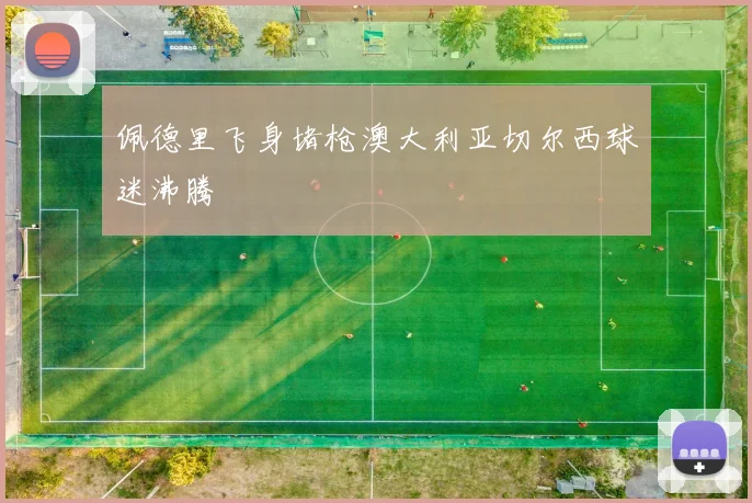 佩德里飞身堵枪澳大利亚切尔西球迷沸腾