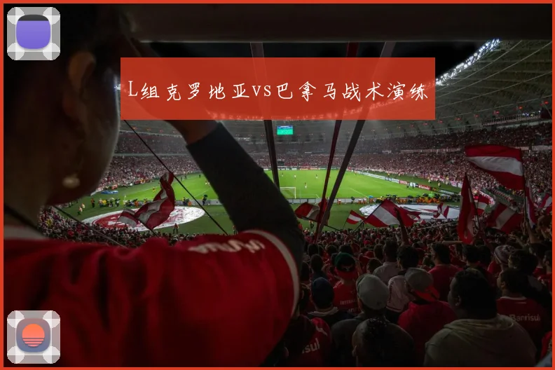 L组克罗地亚vs巴拿马战术演练