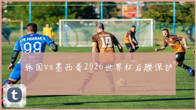 韩国vs墨西哥2026世界杯后腰保护