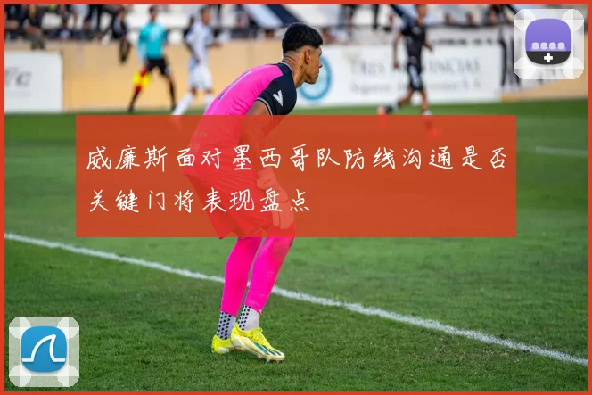 威廉斯面对墨西哥队防线沟通是否关键门将表现盘点
