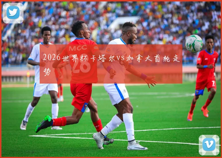 2026世界杯卡塔尔vs加拿大首轮走势